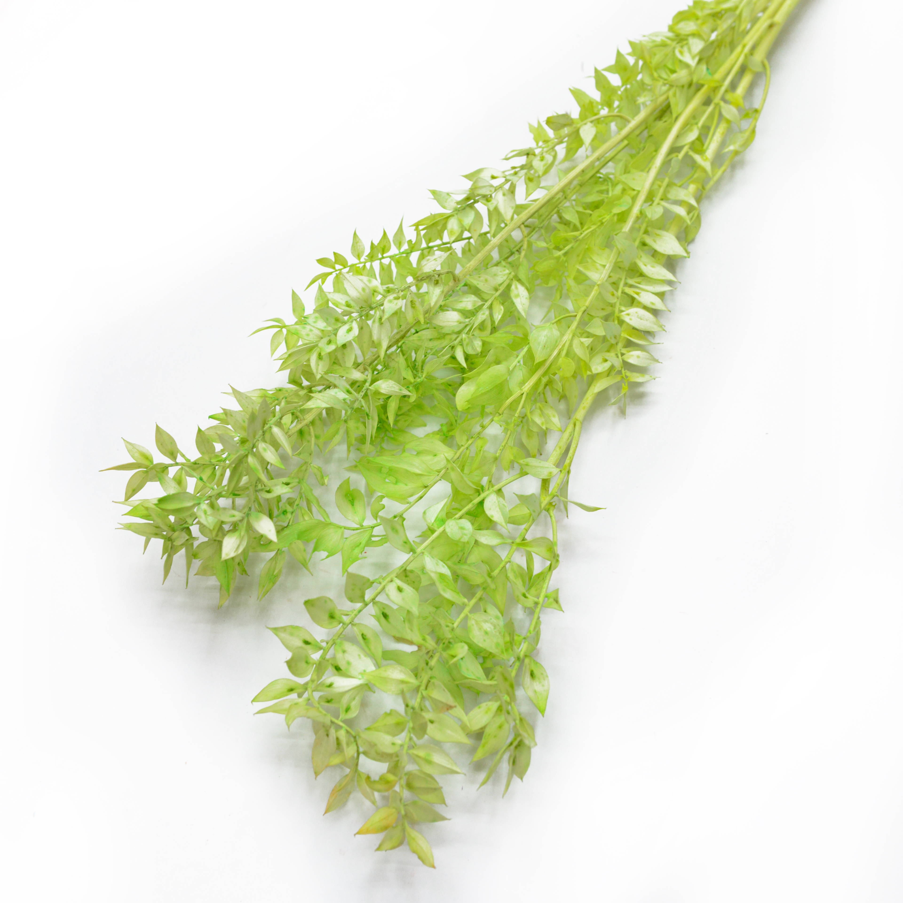 Fugui Yiran dried flowers and plants bouquet combination shooting props, living room decoration and arrangement, home flower arrangement diy materials, diverse colors, long display time, in stock Application Scenario