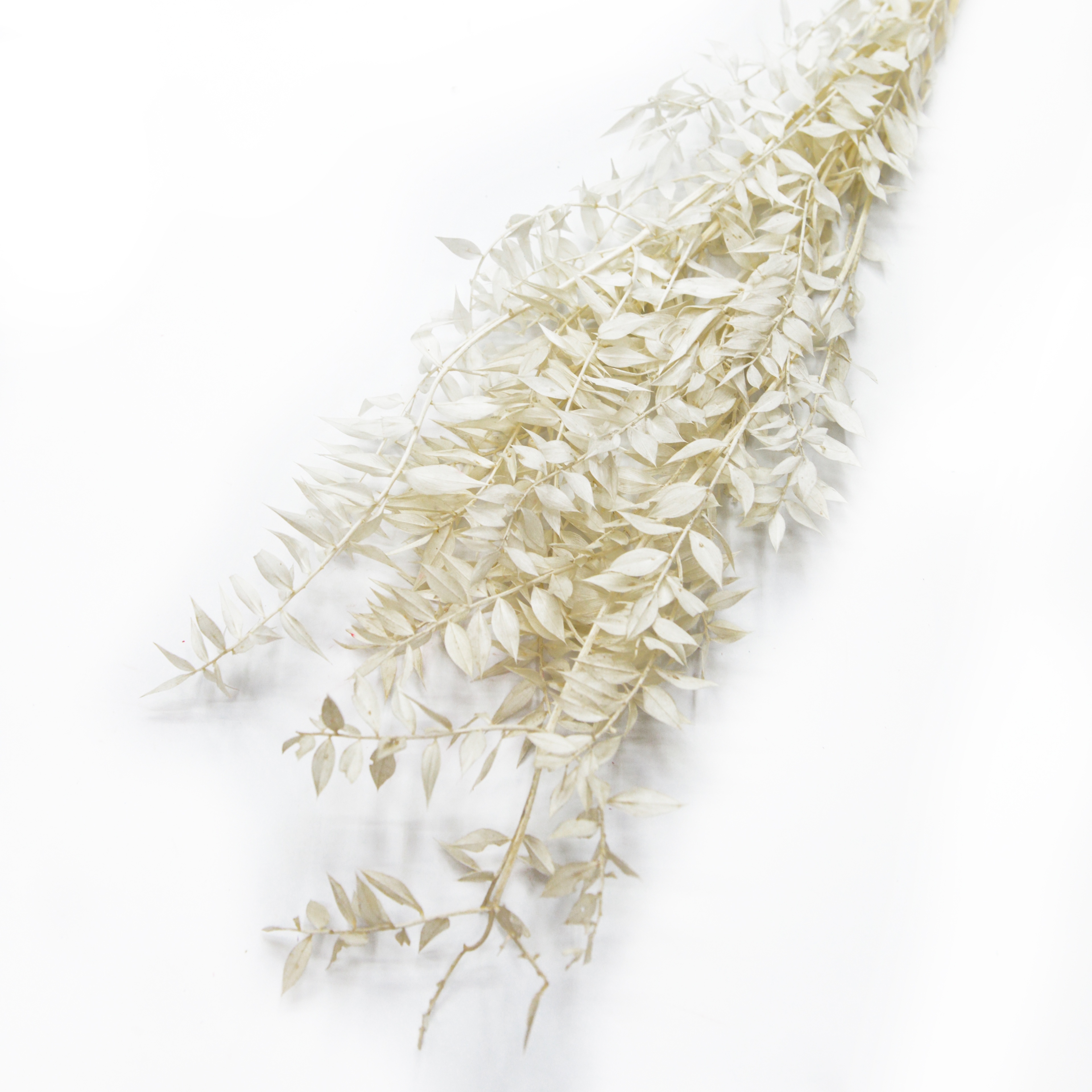 Fugui Yiran dried flowers and plants bouquet combination shooting props, living room decoration and arrangement, home flower arrangement diy materials, diverse colors, long display time, in stock details Picture