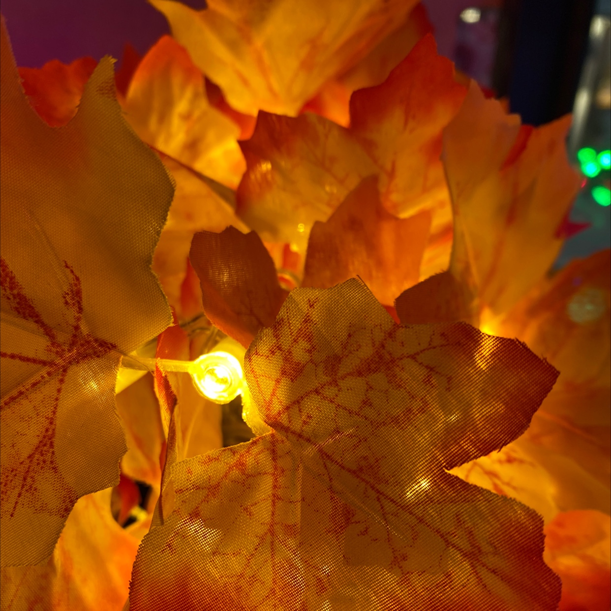 Maple leaf string lights, LED lights, festival decorations, cross-border wholesale for foreign trade details Picture
