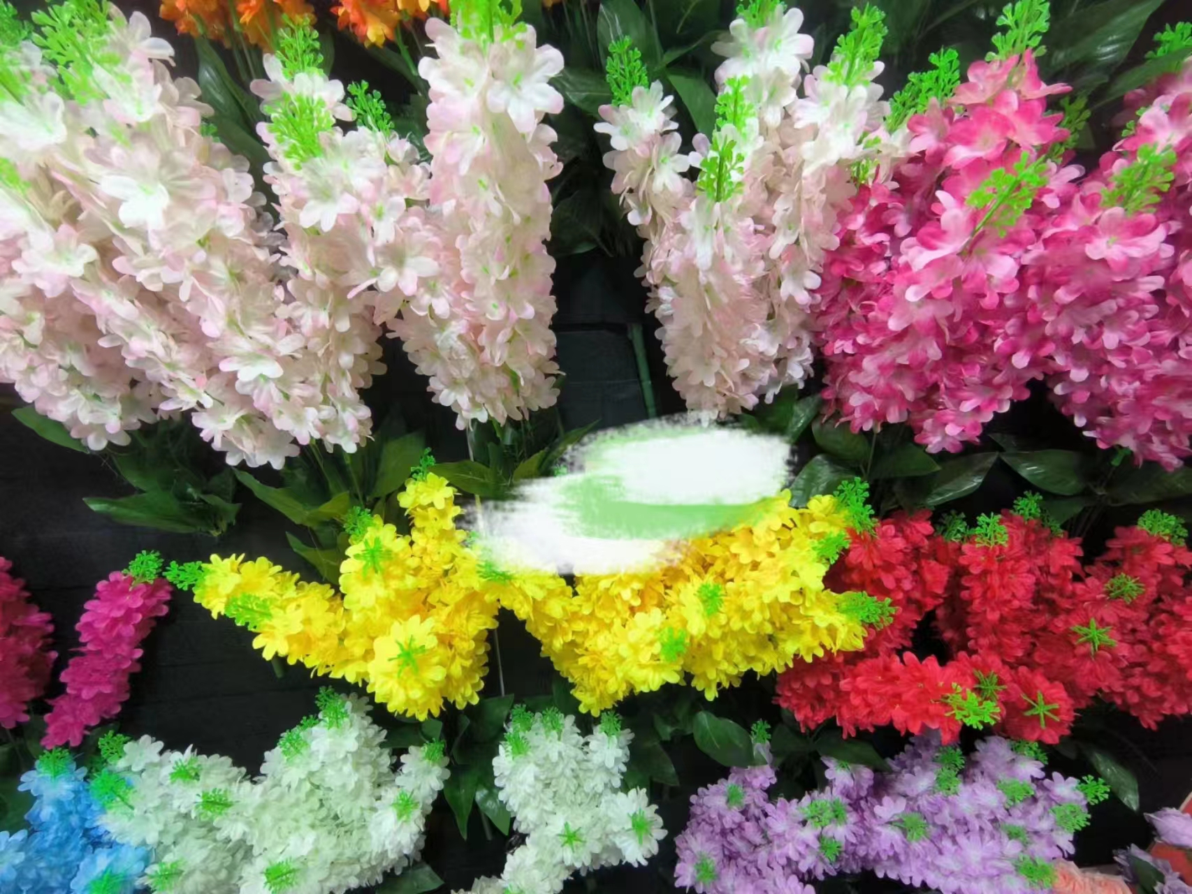 窜窜花