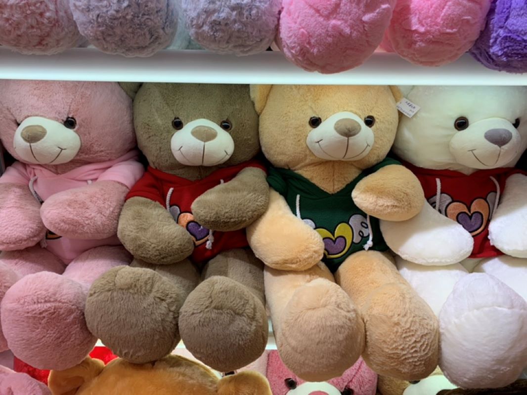 Hoodie Bear 90Cm Real Foreign Trade Can Be Cartoon Toy Plush Toy Plush Doll Plush Toy Bear Wholesale Application Scenario