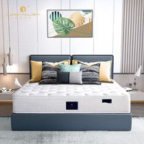 LOMANLISA (LOMANLISA) Foshan Standard Hotel mattress compression roll bag independent bag spring Simmons Mattress Hotel Bed & Breakfast Luyu comfort pressure single-bag spring + 8cm collision avoidance