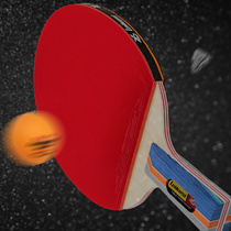Straight Grip Pingpong Paddle Professional Single Table Tennis Rackets Portable Training Rackets for Table Tennis