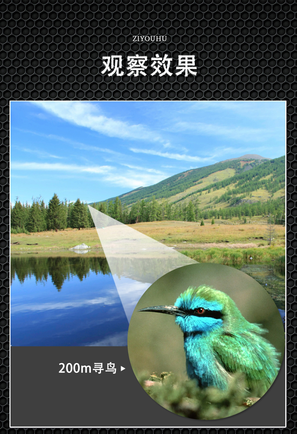 自由虎TA10x42 12x50双筒望远镜大视野微光夜视望远镜高倍高清 pic 9
