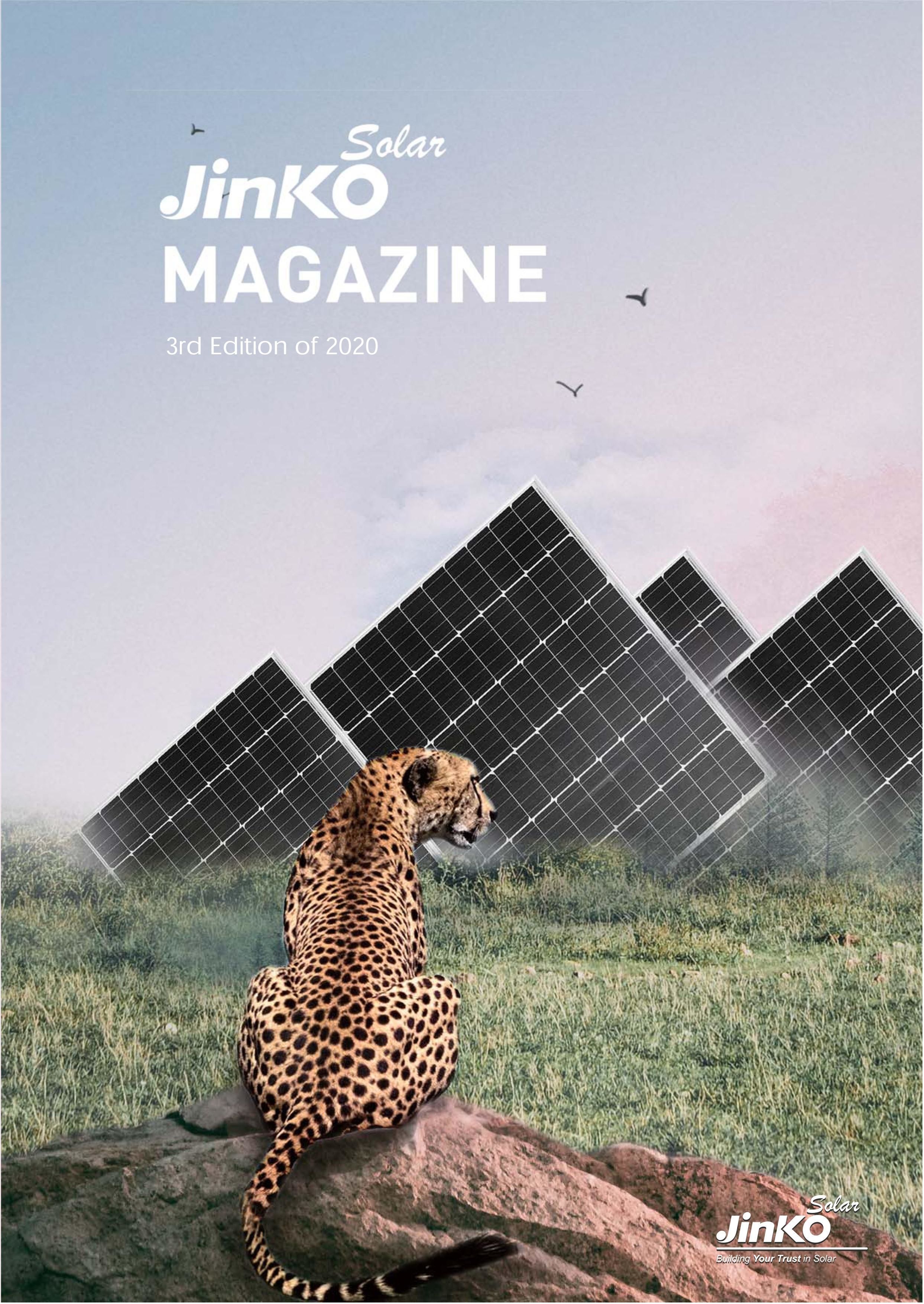 Tiger Jinko solar module 580W with strong reliability grade A details Picture