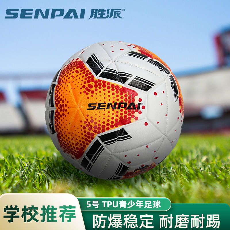 Shengpai LH-8304 Football Size 5 Custom PU Soccer Ball Outdoor Training Football 2023