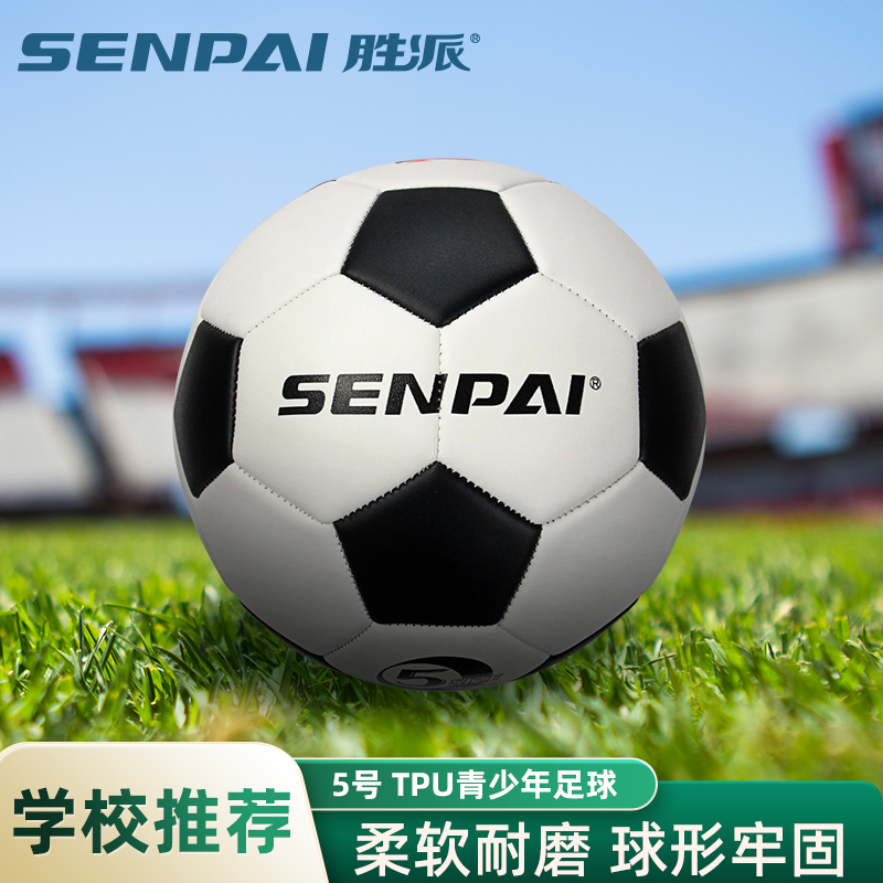 Shengpai LH-8309 Size 5 Football TPU Soccer Ball Soft Wear-resistant Football 2023 full figure