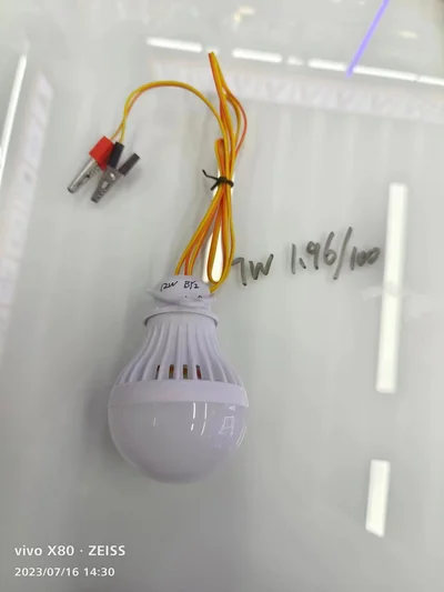 Bulb With Wire 7W