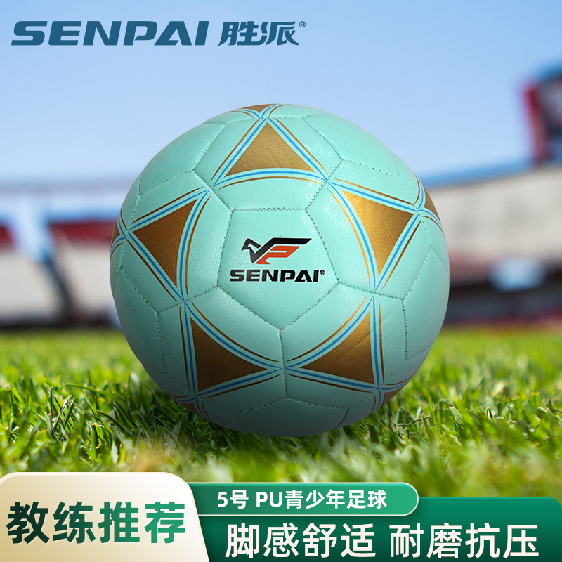 ShengPai LH-8312 Football Size 5 PU Football 3 Color Mixed Loading Factory Custom Wholesale full figure