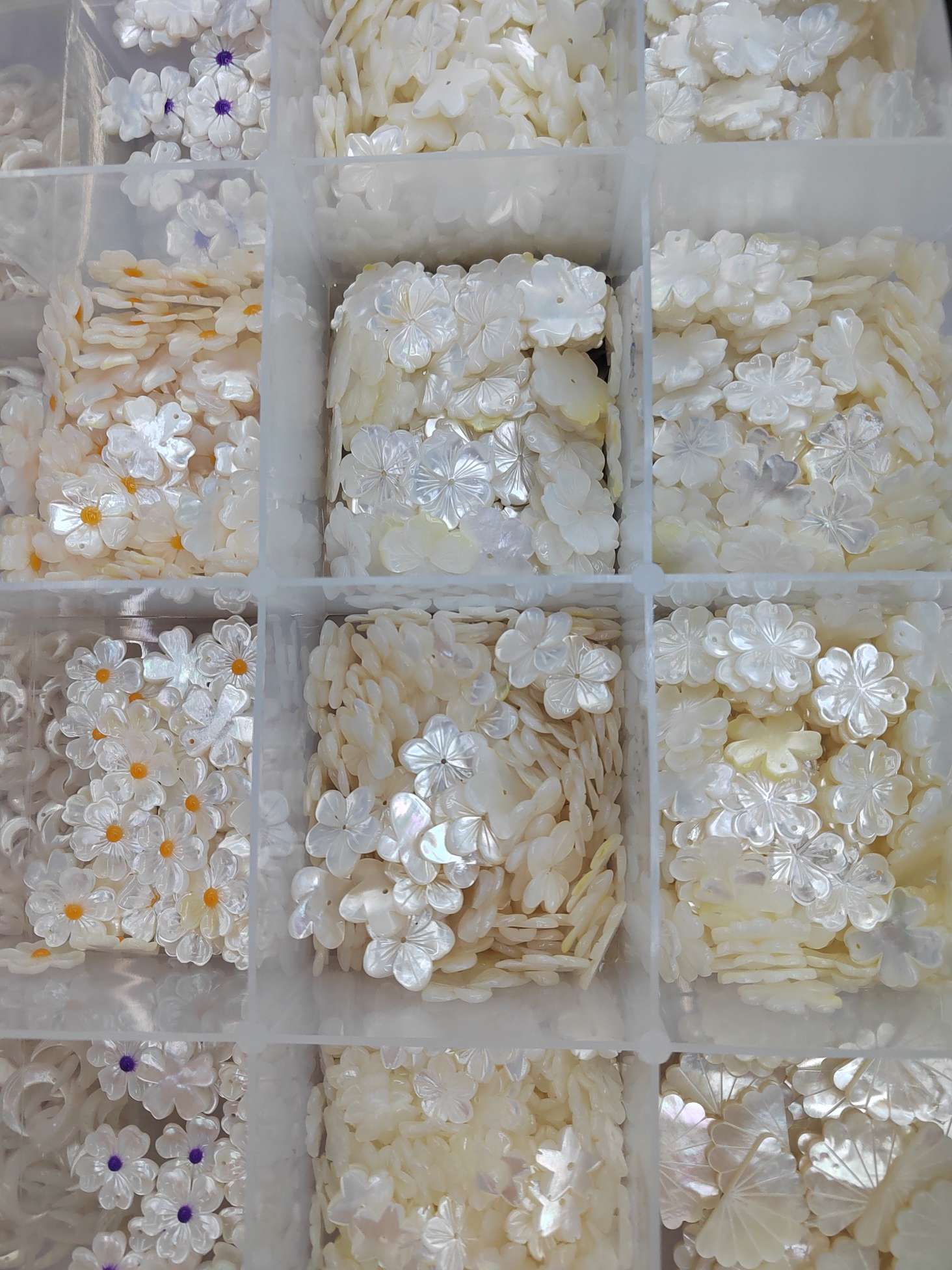 Ruyi Shell describe pic - 4