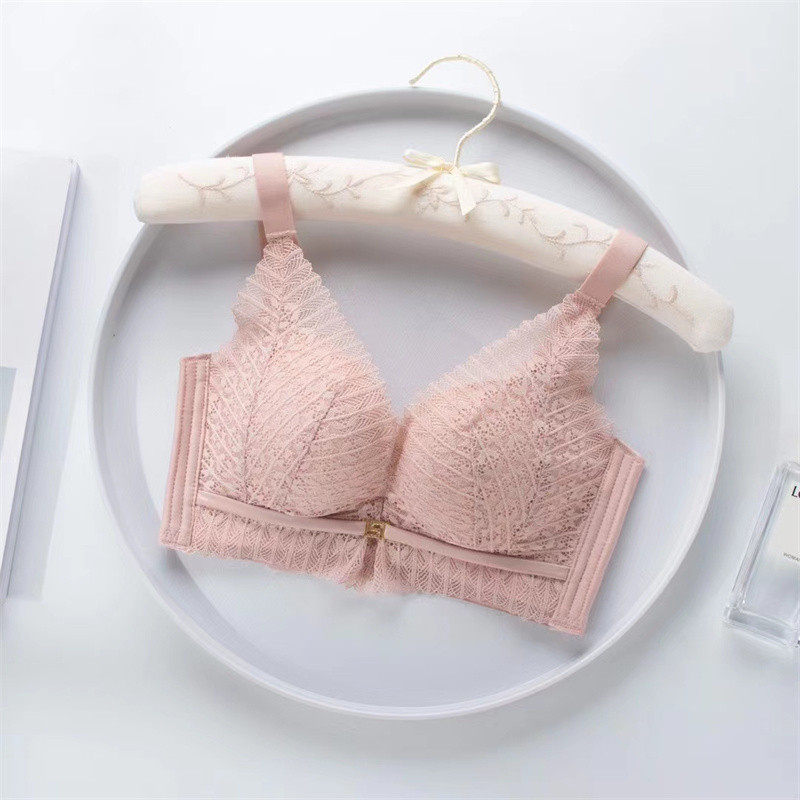 New Elegant Lace Mesh Bra Women's Comfortable Underwire Underwear Push-Up Adjustable Bra 1