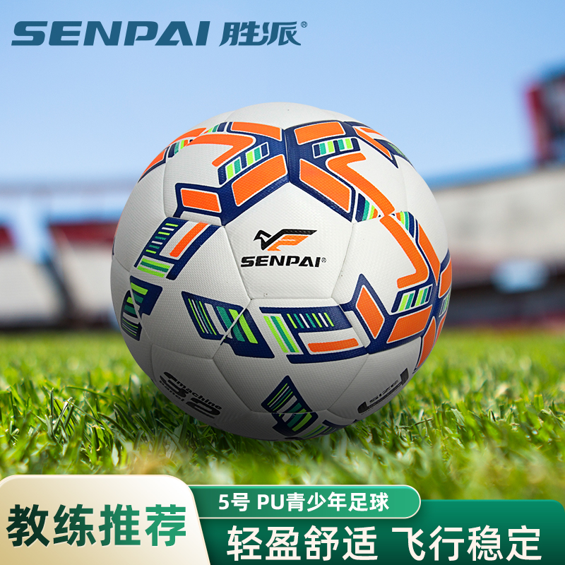 ShengPai LH-8325 PU Size 5 Football Football 18 Pcs/CTN 2 Colors Trainning Football 2023 New Football full figure