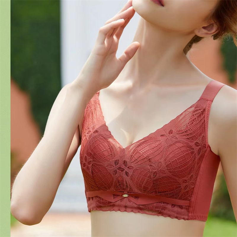 2023秋冬新款时尚蕾丝文胸棉内里亲肤舒适收副乳聚拢调整型内衣