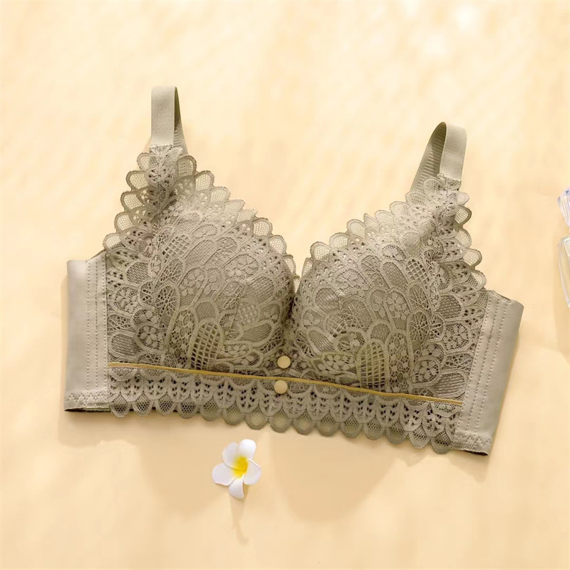 New Elegant Lace Mesh Bra Women's Comfortable Underwire Underwear Push-Up Adjustable Bra 1 details Picture
