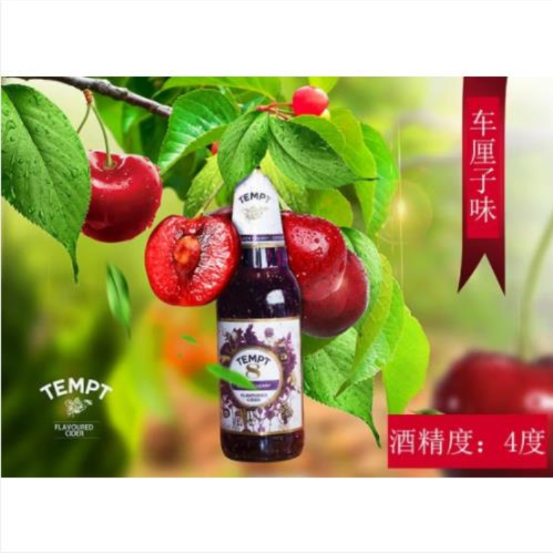 诱惑啤酒/丹麦原装/TEMPT果味/330ml细节图