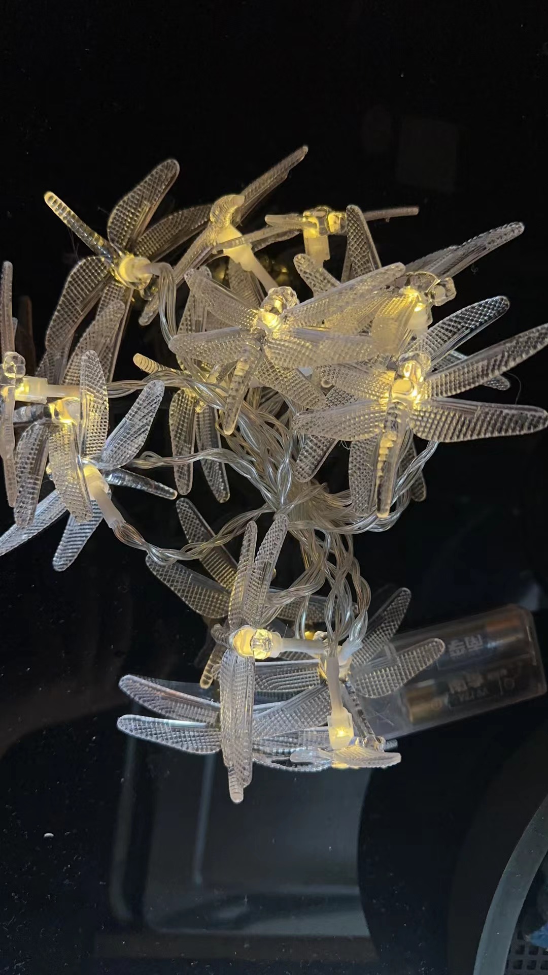 Nueva serie dragonfly día de san valentín led gift light string decoración de vacaciones fábrica de luces de atmósfera al por mayor details Picture