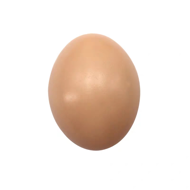 捷豪仿真鸡蛋实心木质假鸡蛋鸡窝引蛋木鸡蛋彩绘蛋涂鸦过家家玩具详情图3