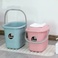 家用塑料带盖手提水桶泡脚桶拖地桶 大容量户外水桶储水桶米桶图