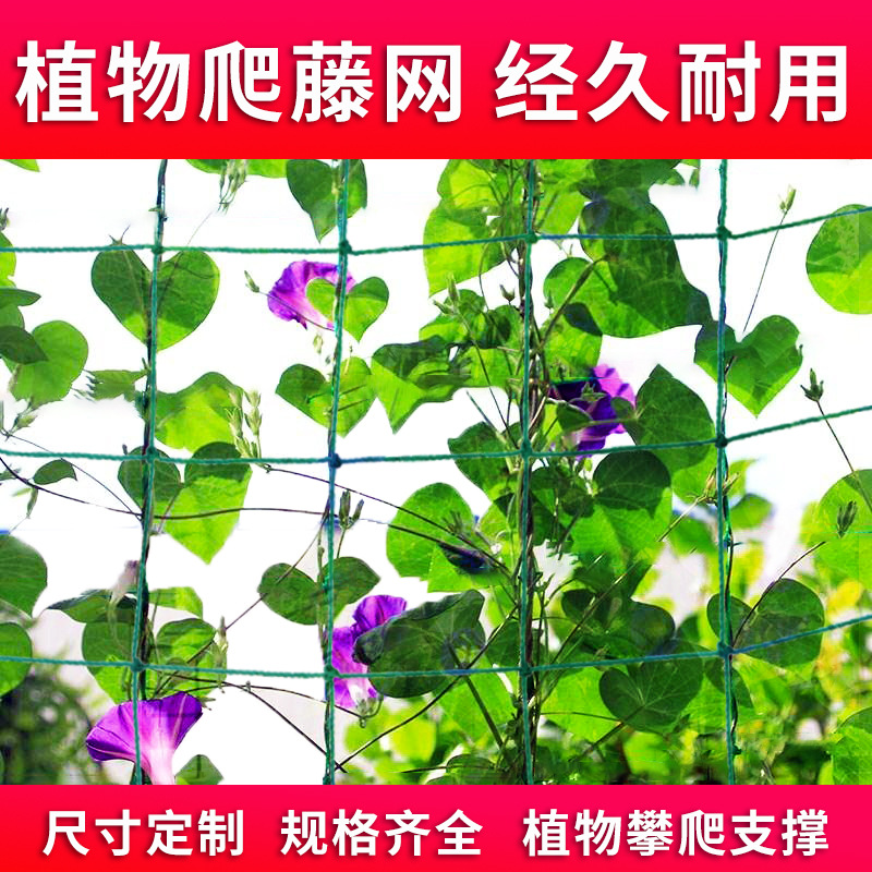 跨境货源植物爬藤网绿色园艺家用百香果葡萄丝黄瓜类攀爬网图