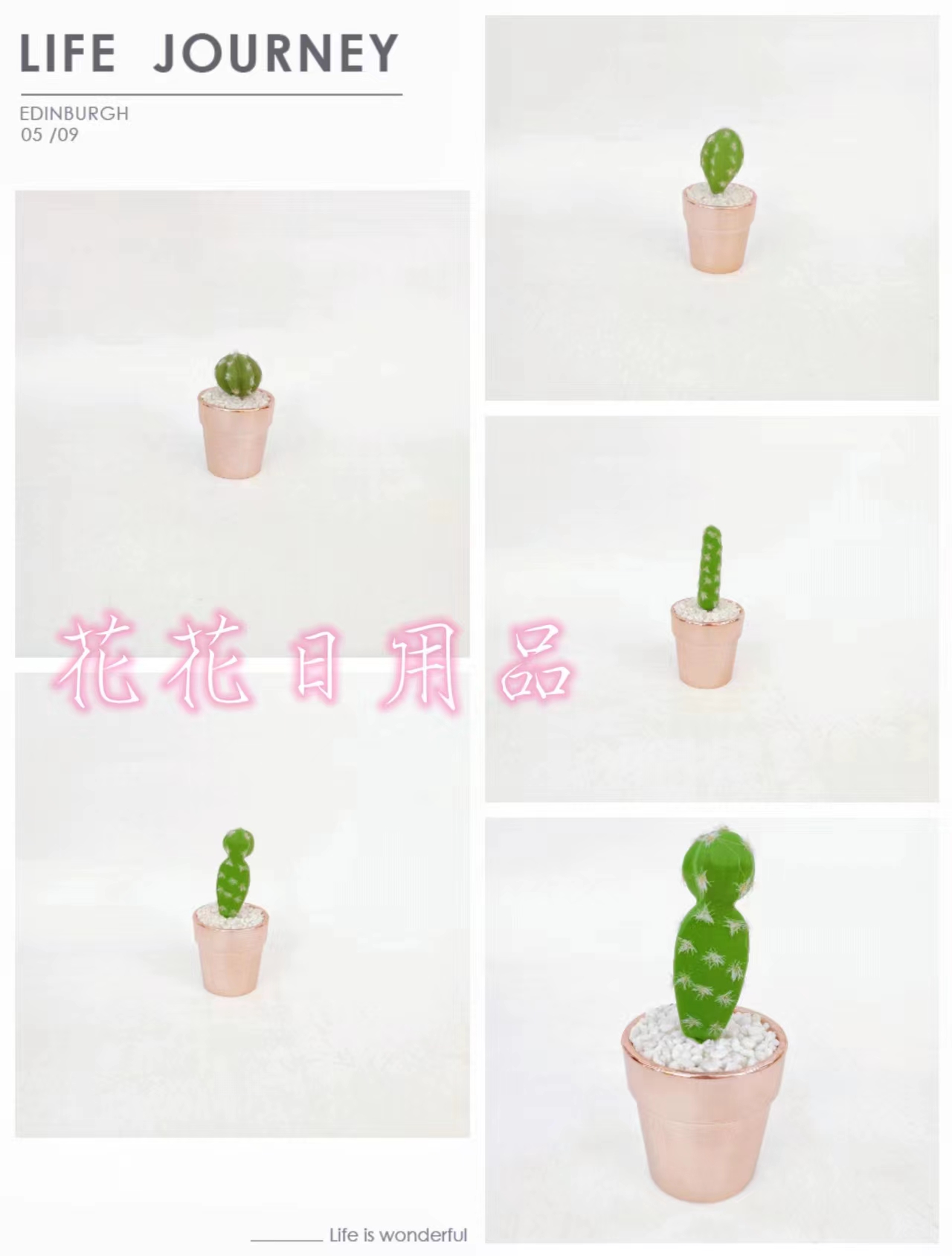 仿真花假花盆景陶瓷盆小仙人掌摆件装饰品详情7