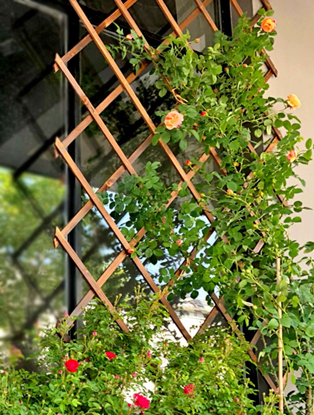 围栏/栅栏/伸缩细节图