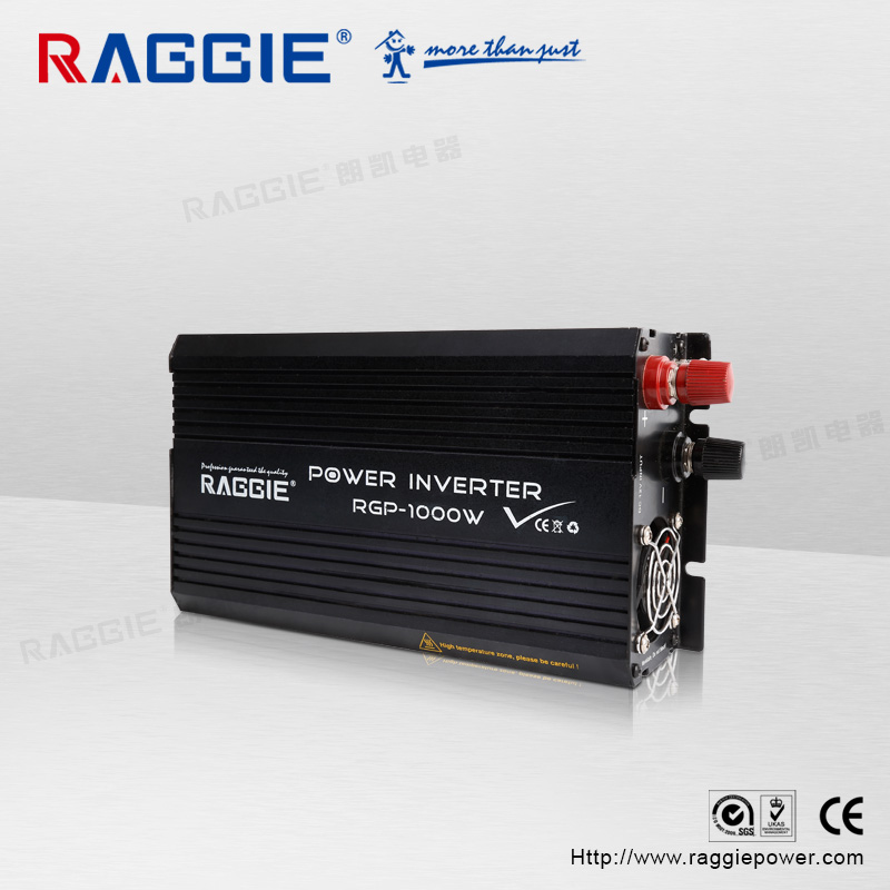 Raggie 1000W Solar Pv Inverter 12V-220V Specification drawing