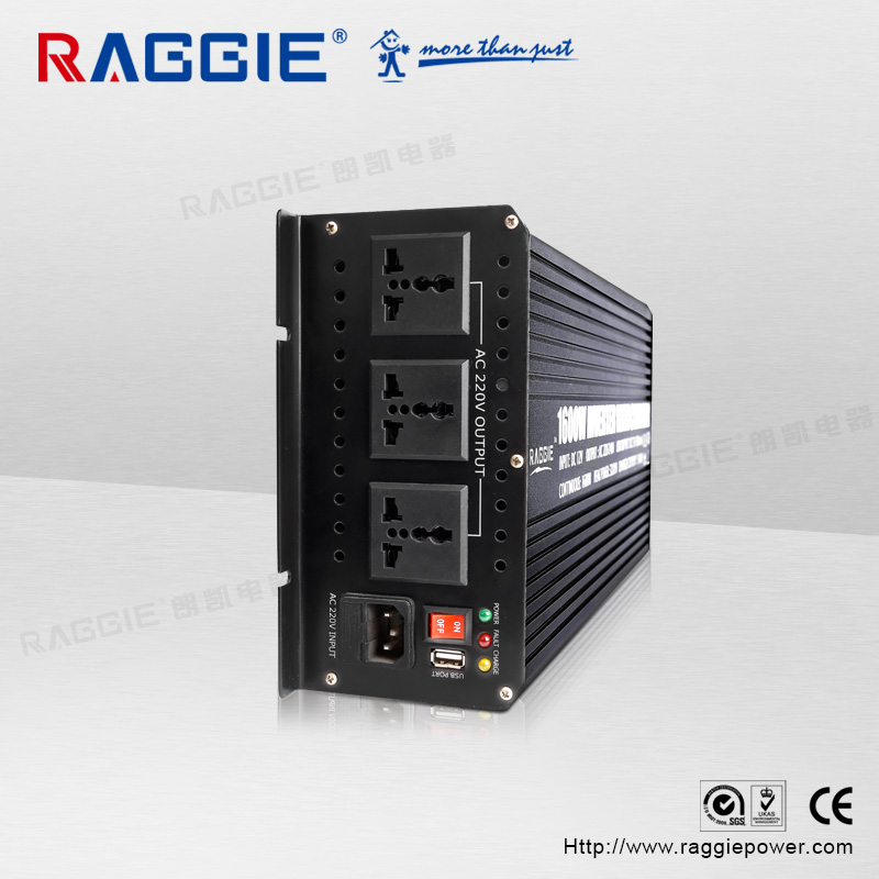 Raggie 2500W Inverter 220V details Picture