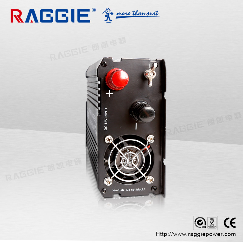Raggie 1000W Solar Pv Inverter 12V-220V details Picture