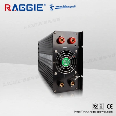 Raggie 2500W Inverter 220V