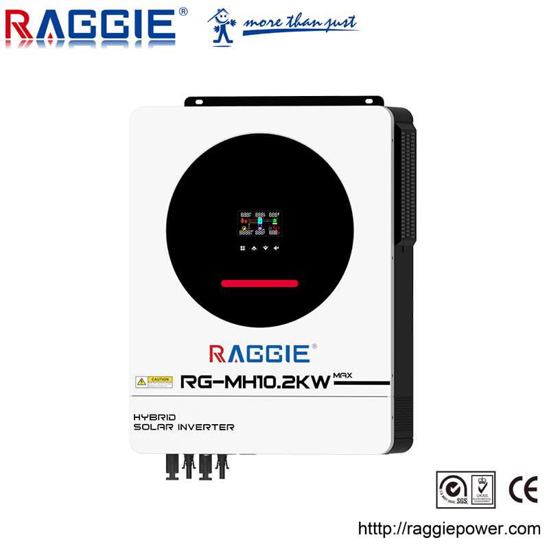 RAGGIE 10.2kw 太阳能逆变器48V 一体机家用光伏系统详情1