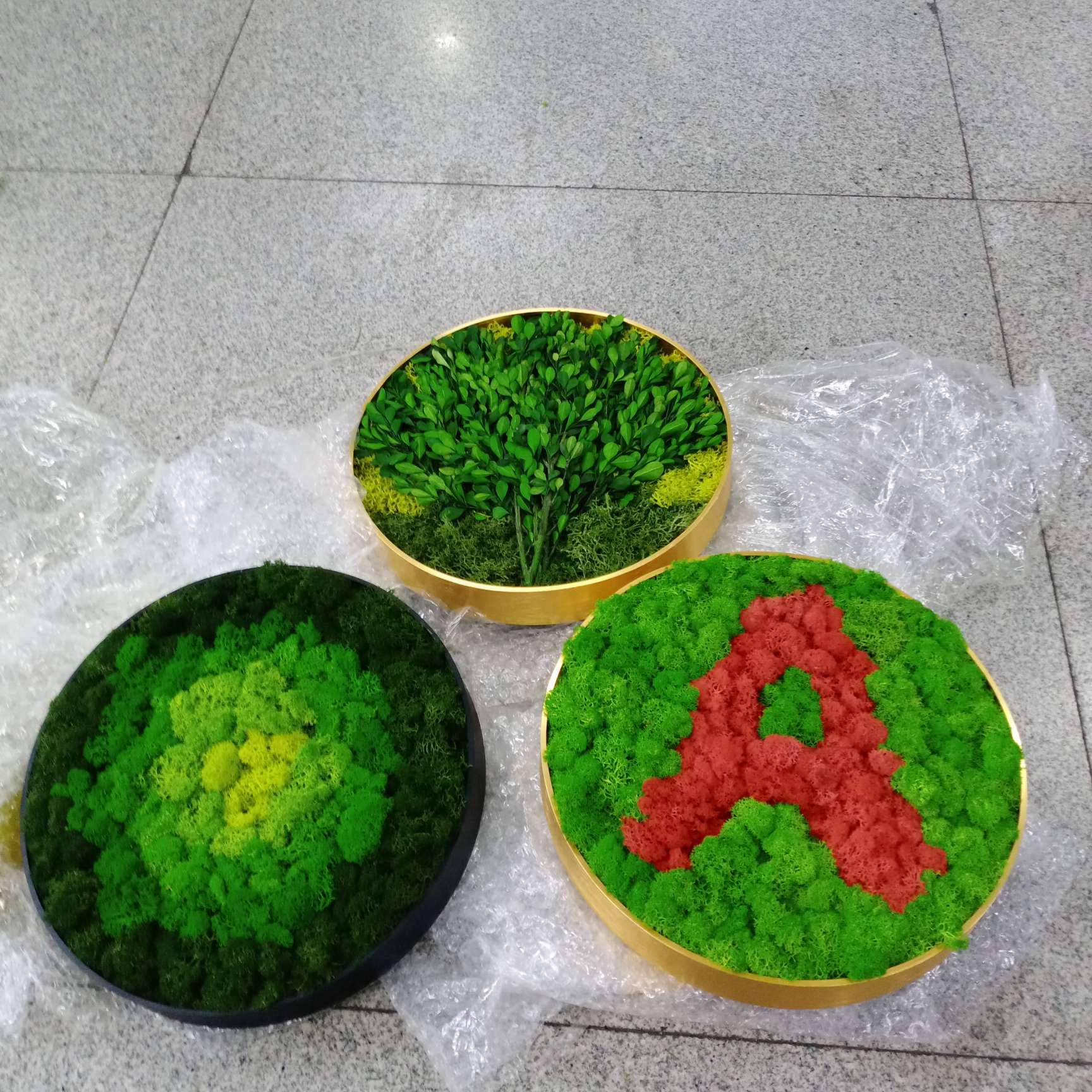 Moss Item Picture