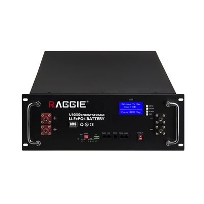 Raggie 48V Energy Storage Lithium Battery Solar Photovoltaic Energy Storage System Lithium Iron Phosphate Battery Pack
