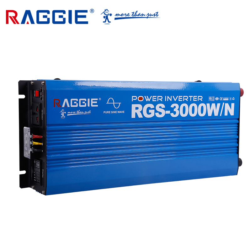 Raggie Pure Sine Wave Solar Inverter Truck 12V 24V 48V To 220V3000w details Picture