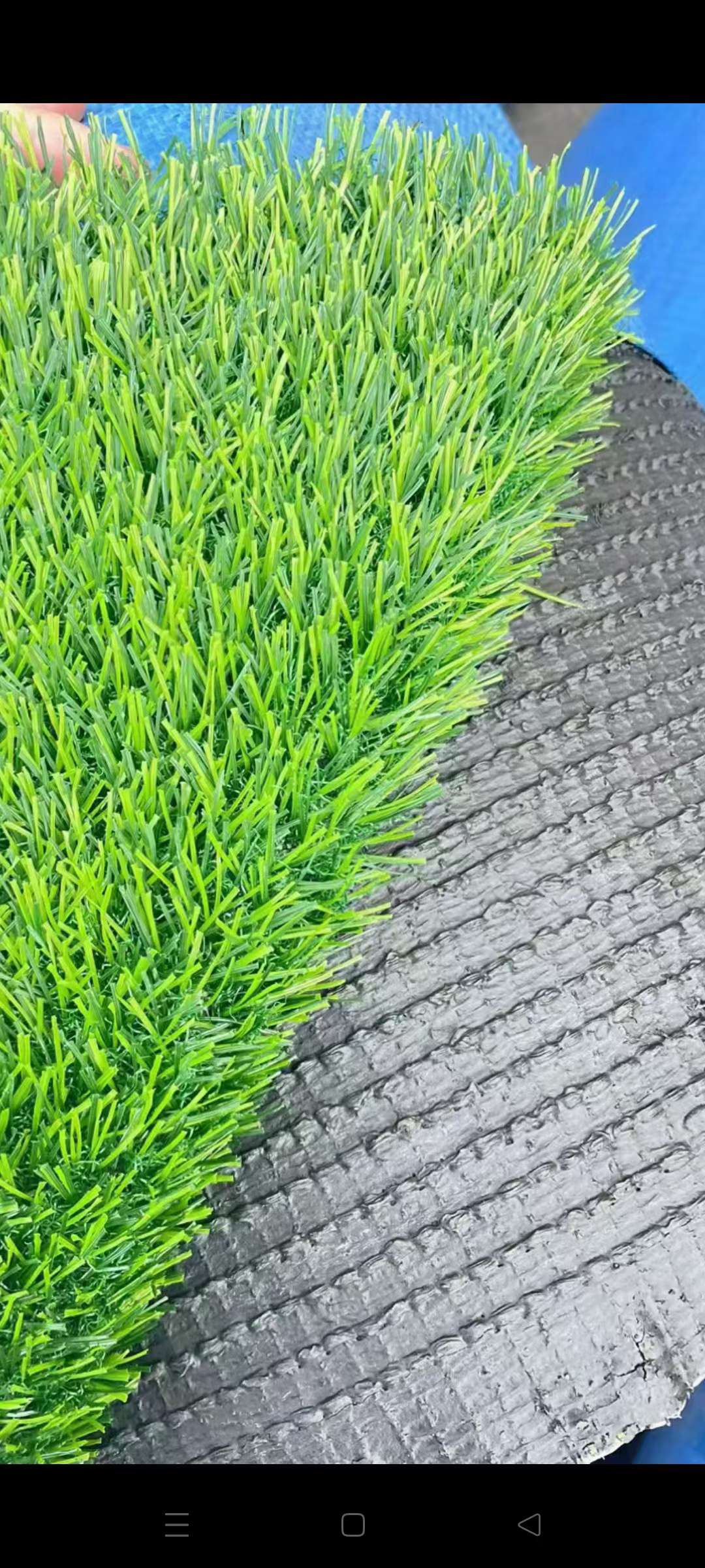 Outdoor Courtyard Lawn details Picture