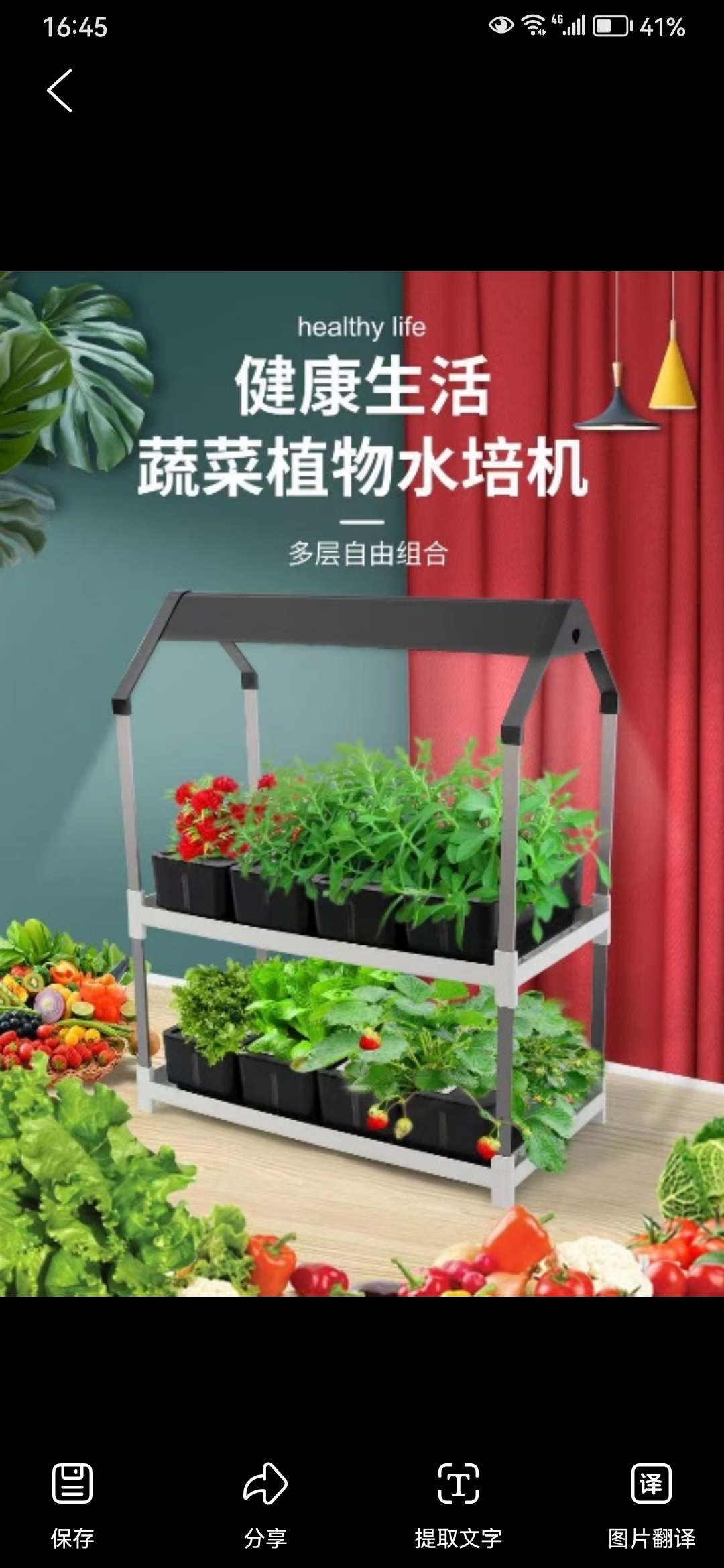 水培植物瓶、生态瓶实物图