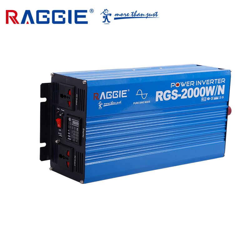 Raggie Ce Certified 2000W 12V 24V Household High Power Battery Converter details Picture