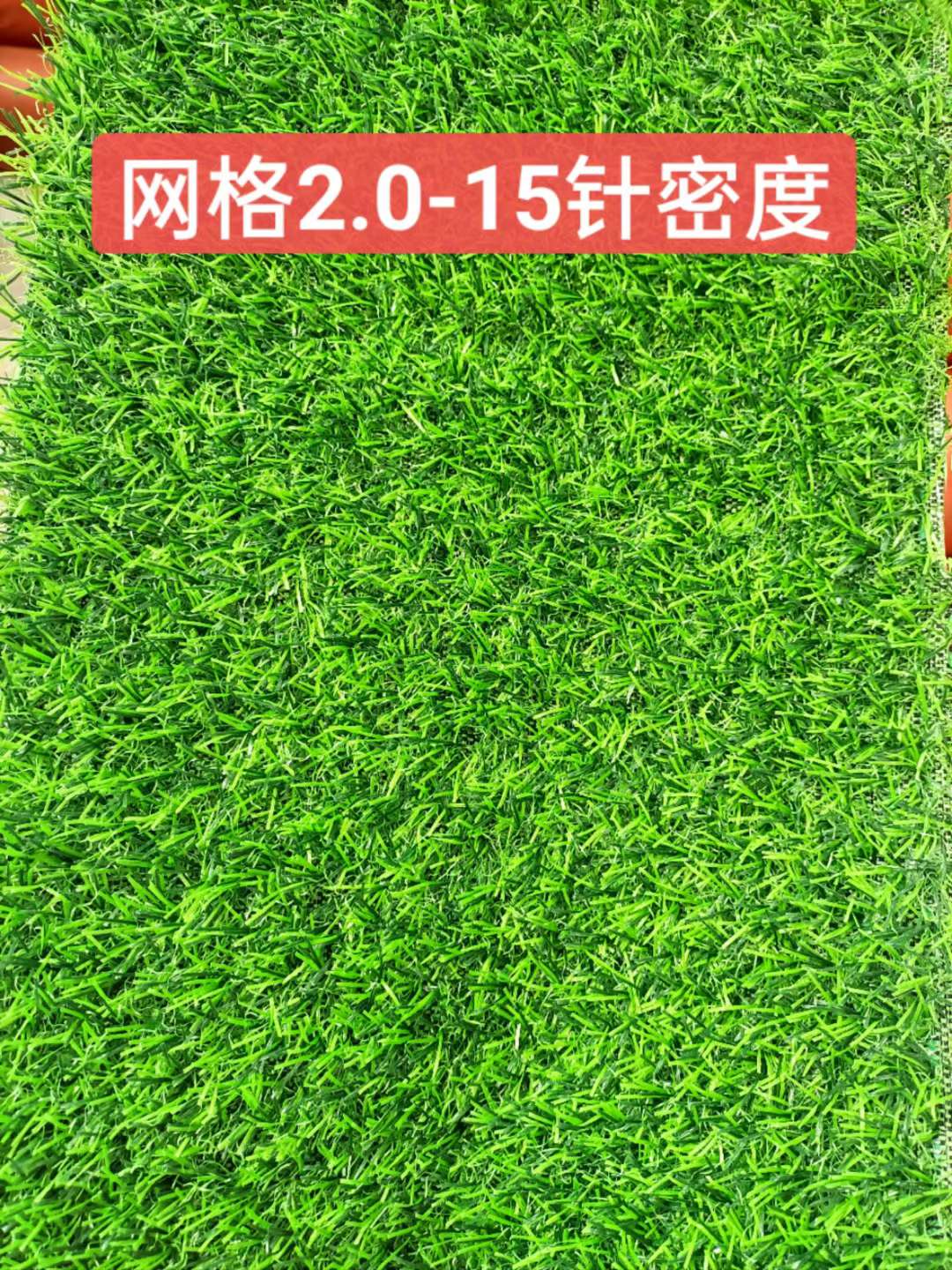 Outdoor Courtyard Lawn Specification drawing