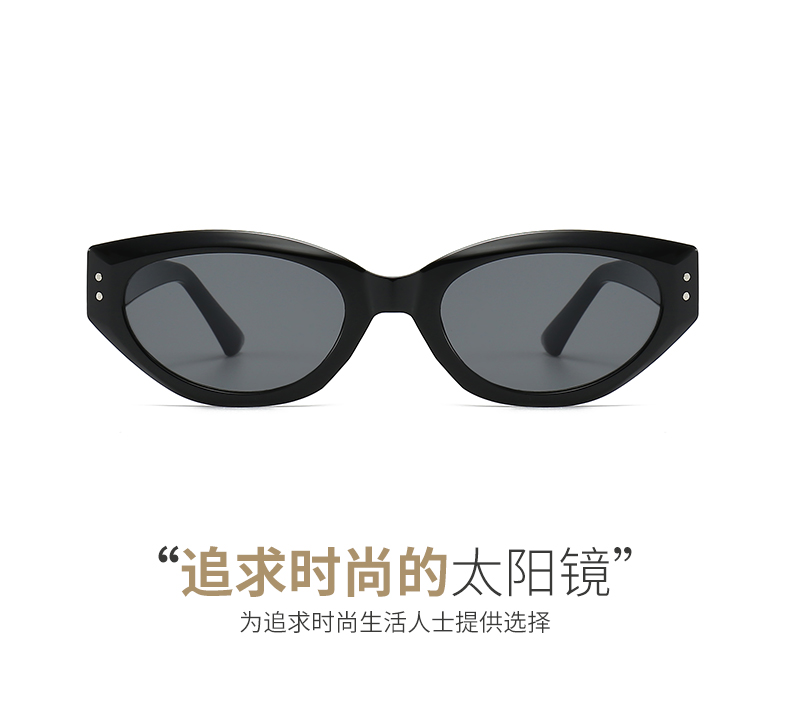 时尚潮流新款墨镜框韩版优雅墨镜简约小框猫眼街拍太阳镜5448详情5