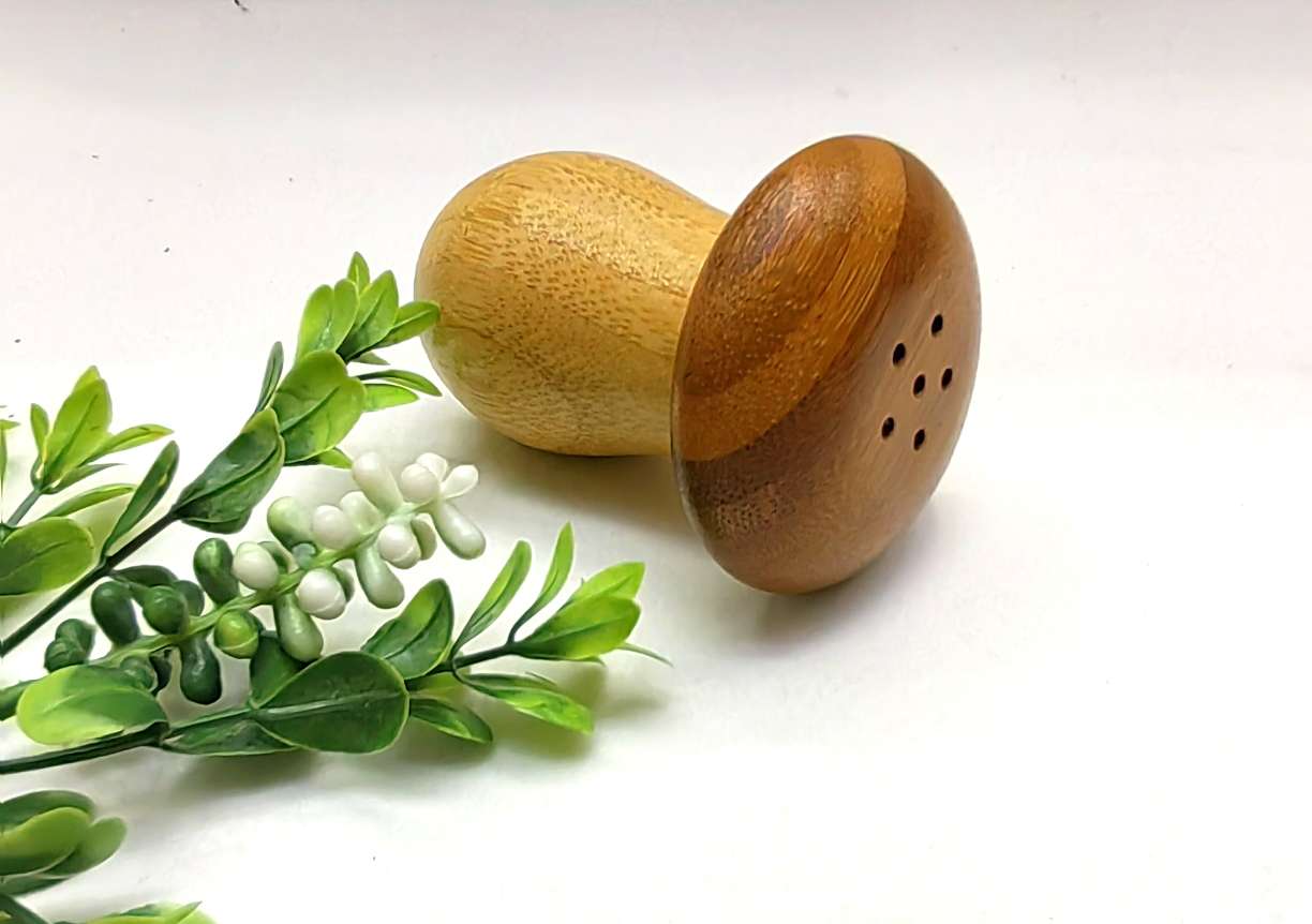 捷豪竹木创意实木牙签筒家用牙签筒实用可爱蘑菇调料瓶