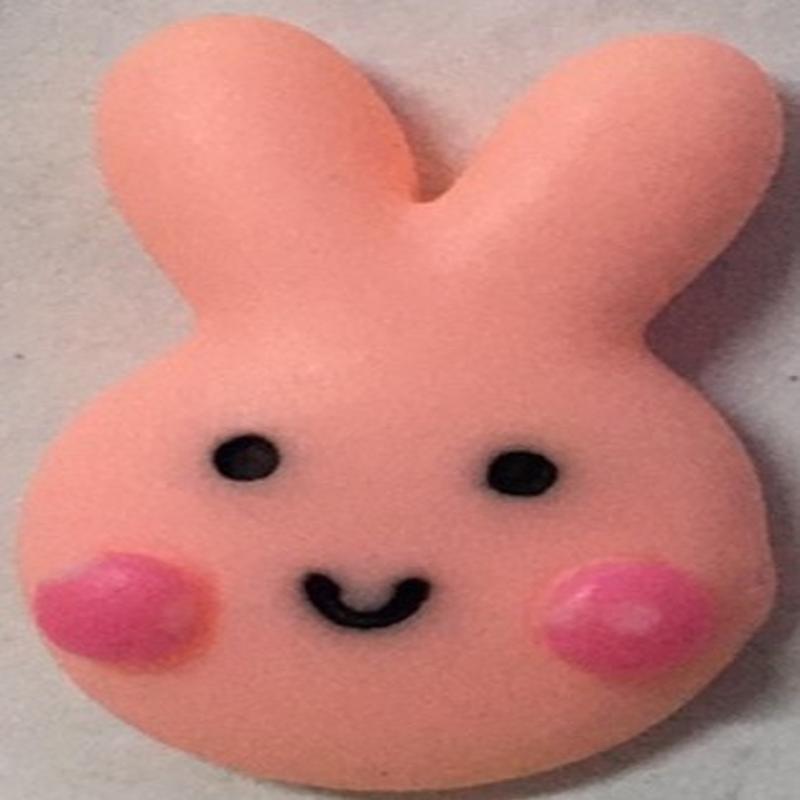 Special offer on creative and realistic decorative accessories: phone cases, resin toys, leather ropes, 5624, diy food toys, earrings