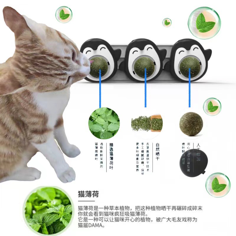 New catnip toys, spinning cat balls, fun and self-entertaining cat toys, teething and tooth-cleaning interactive pet products