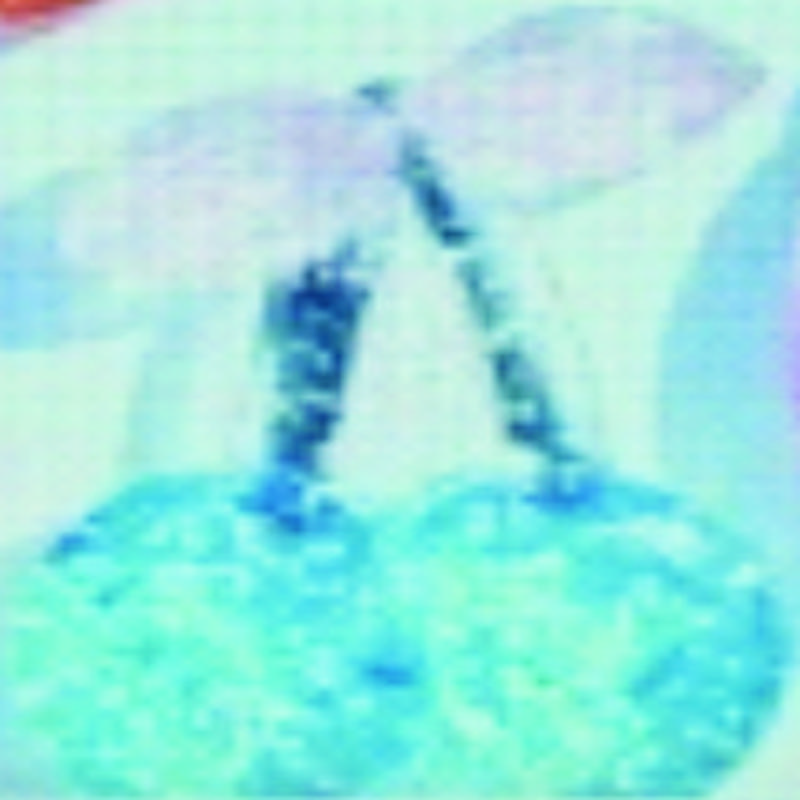 5927特价胸针文具盒批发奶油胶个性外贸卡通耳环树脂装饰胶