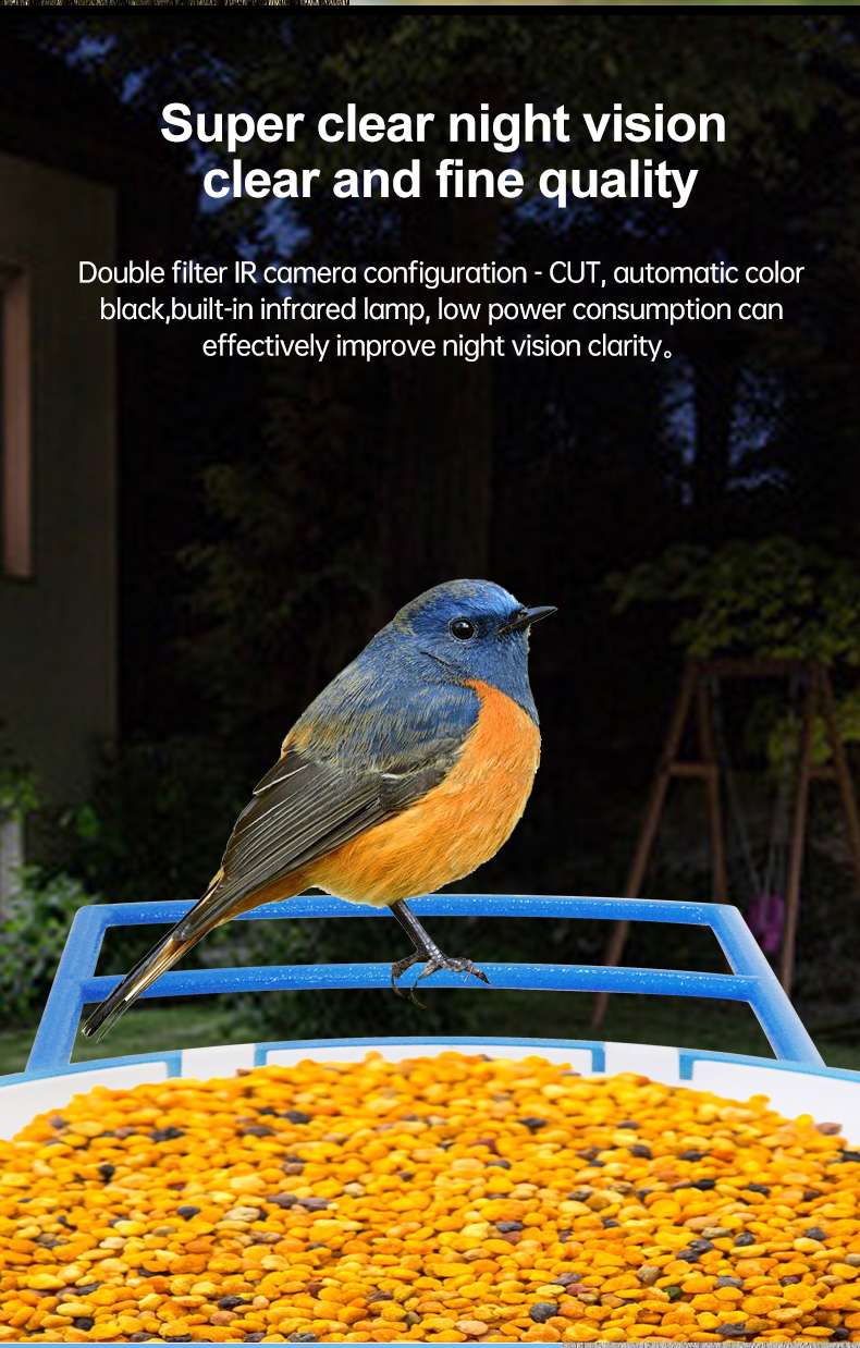 Solar Bird-Watching Battery Camera Head undefined