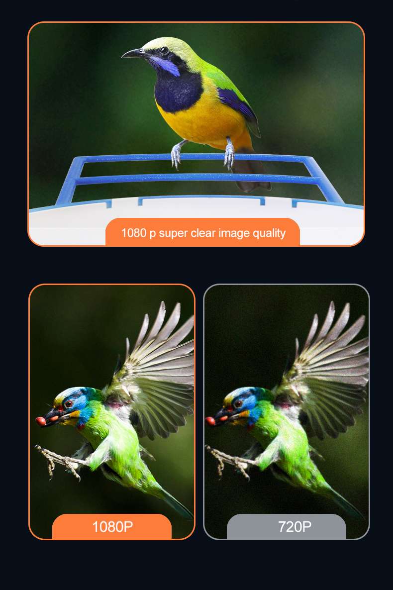 Solar Bird-Watching Battery Camera Head undefined
