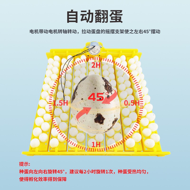 跨境货源/154枚花篮/款鸟蛋盘/全自动孵蛋/自动翻蛋/货源孵化/蛋盘孵蛋/孵蛋器/花篮款细节图
