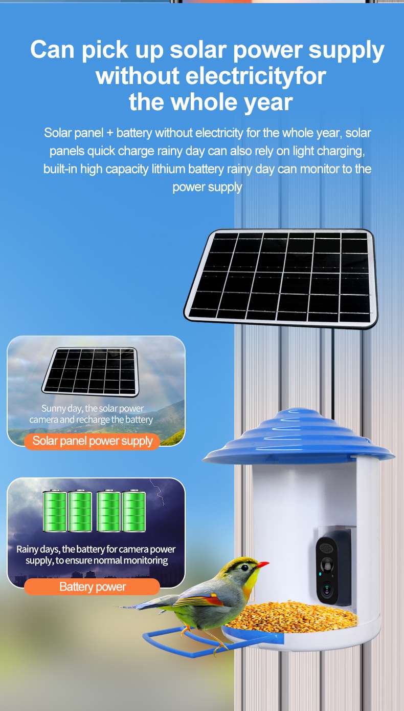 Solar Bird-Watching Battery Camera Head Application Scenario