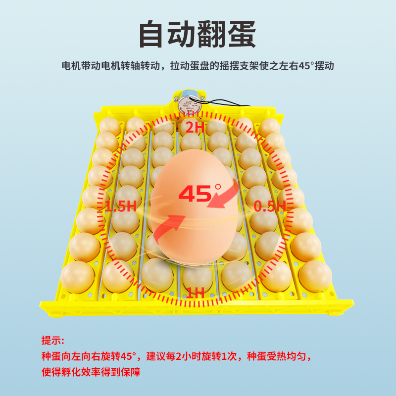 全自动家用型孵化机蛋盘56枚鸡鸭鹌鹑蛋盘自动翻蛋带电机详情图3