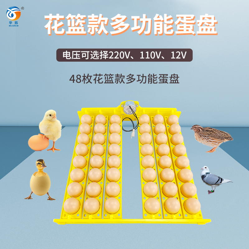 48枚鸡鸭鹌鹑蛋盘自动翻蛋小型家用迷你孵化机蛋盘带电机