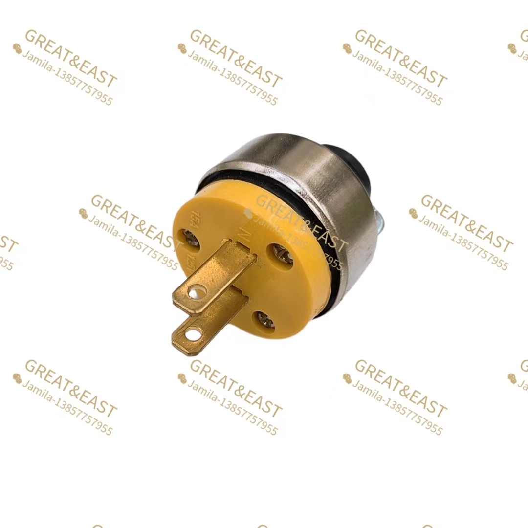 American standard plugs and sockets for electrical products, wireless 2P flat sockets