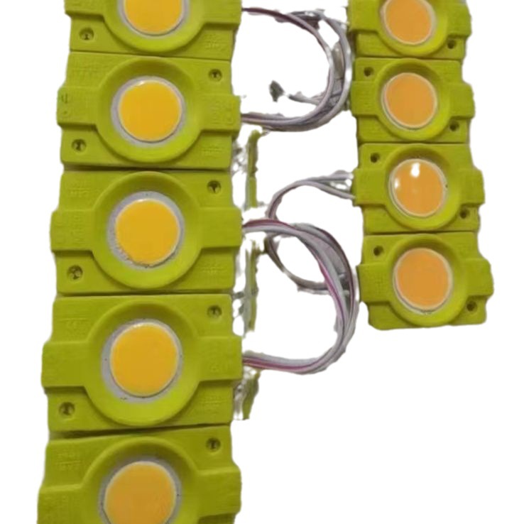 New Led Advertising Lamp Module Injection Light Module Cob Waterproof Light Source 12Vled Injection Lamp Wholesale Item Picture
